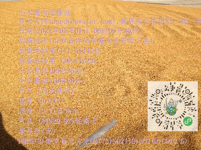 0.mp4