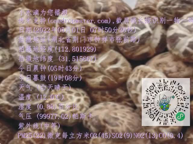 0.mp4