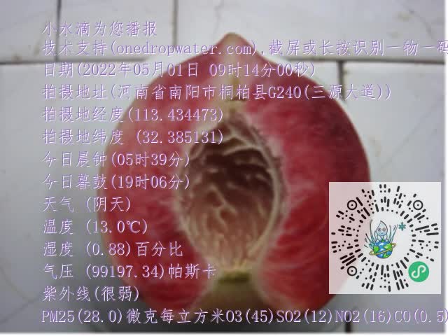 0.mp4