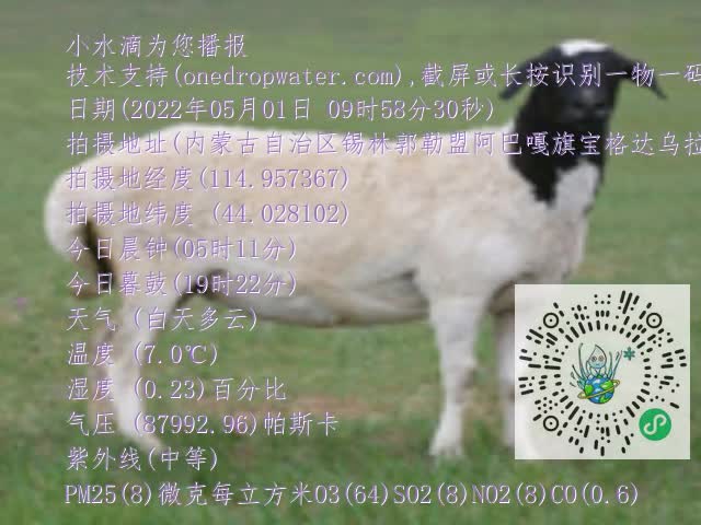 0.mp4