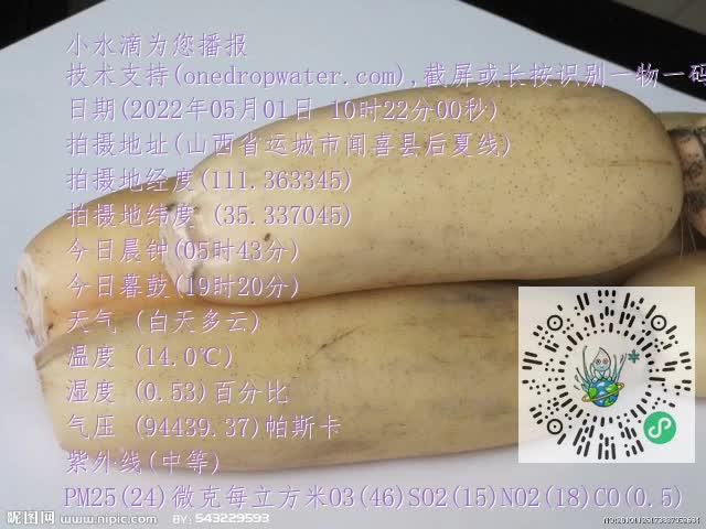 0.mp4