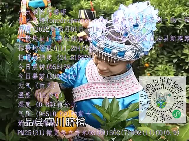 dd8090a4e4d4c7718ed15ab6692d8051.mp4