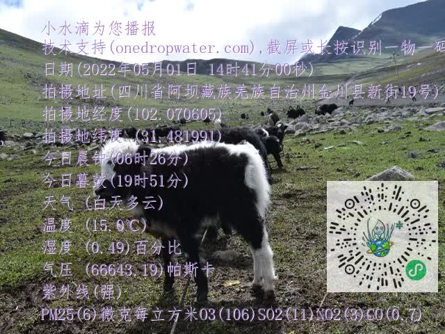 0.mp4