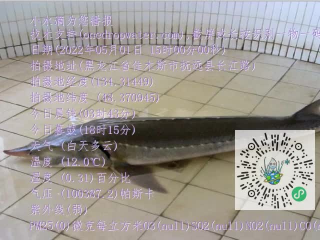 0.mp4