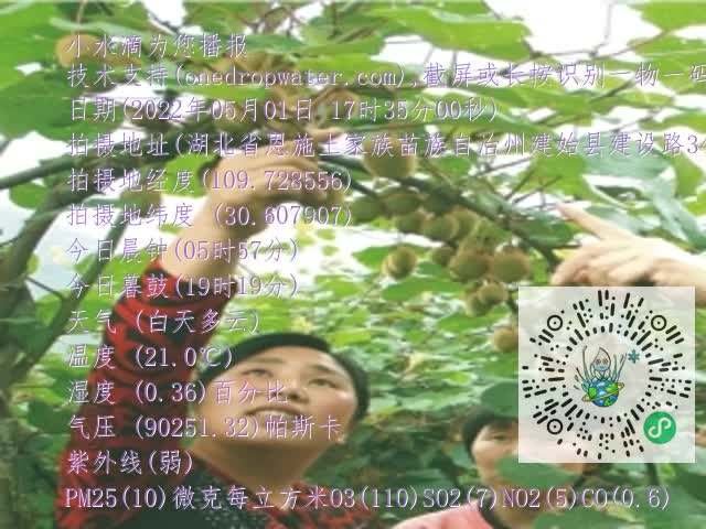0.mp4