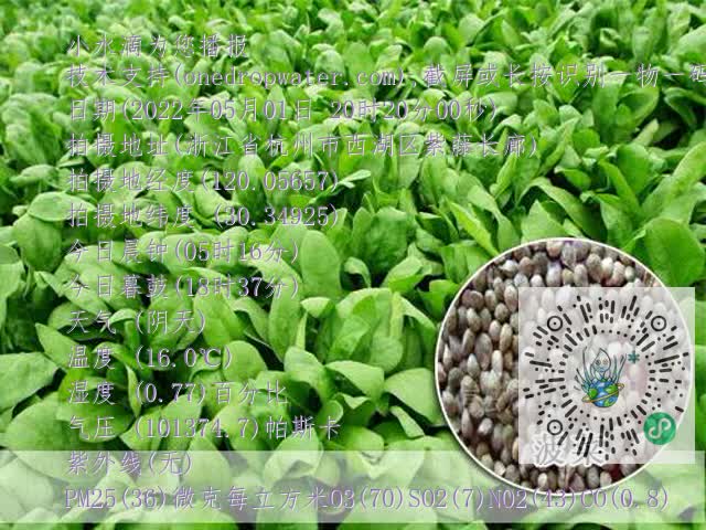 7c5901b51e21741fafbe1cb3b15226f9.mp4