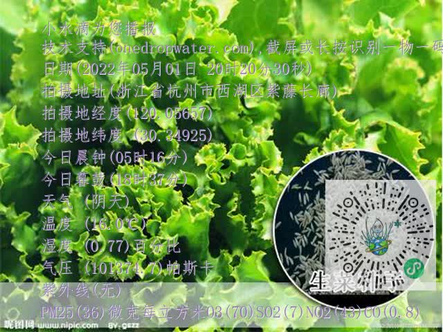 8bf87a48d095cf7944be3ea9e09ea14d.mp4