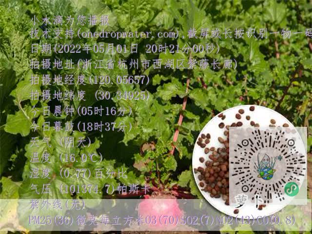a4b4252d932f7ca1b7a5cee6b1a7bc19.mp4