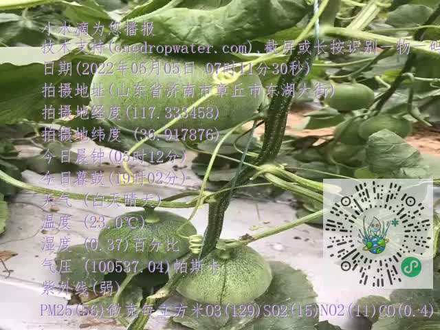 0.mp4