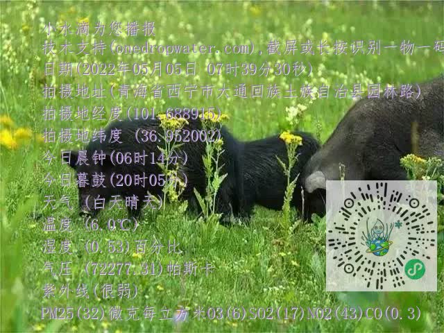 0.mp4