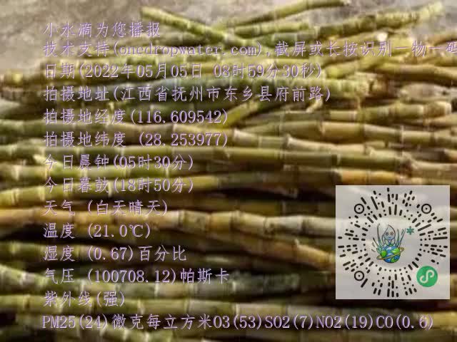 0.mp4