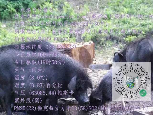 0.mp4