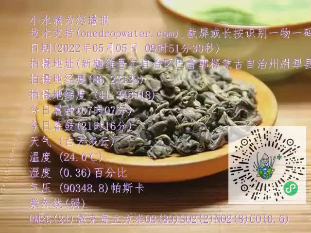 0.mp4