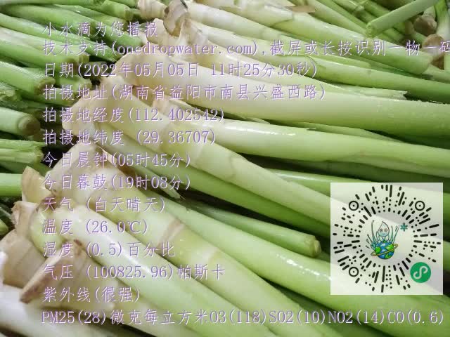 0.mp4