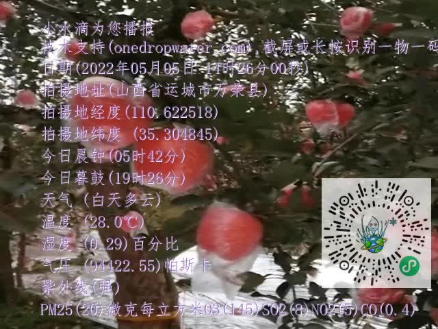 8cfd960e6b4a910dbb1d0699c1b1652b.mp4