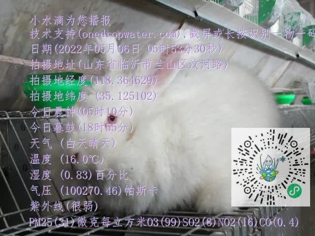 0.mp4