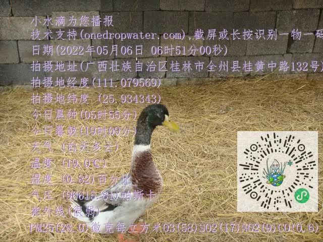 0.mp4