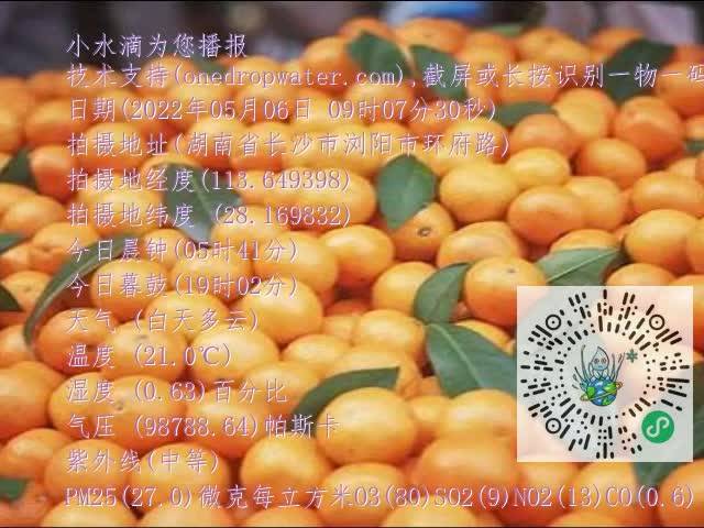 0.mp4