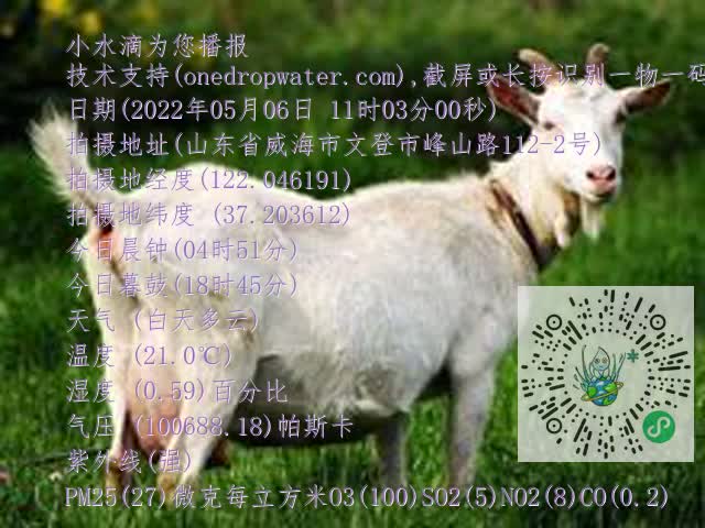 0.mp4