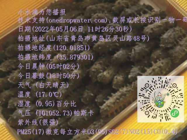 0.mp4