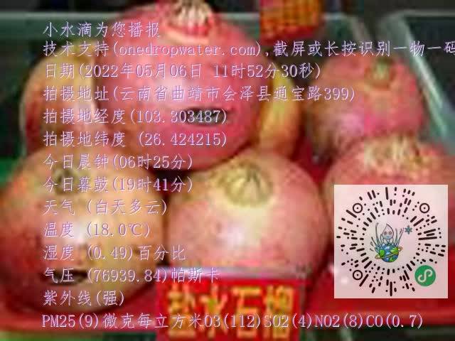 0.mp4