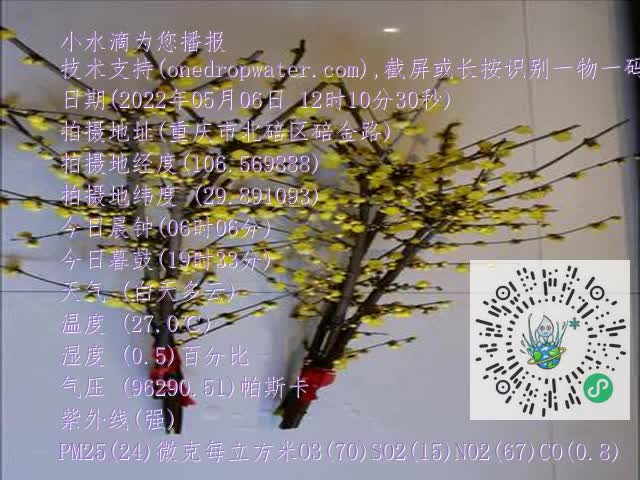 0.mp4