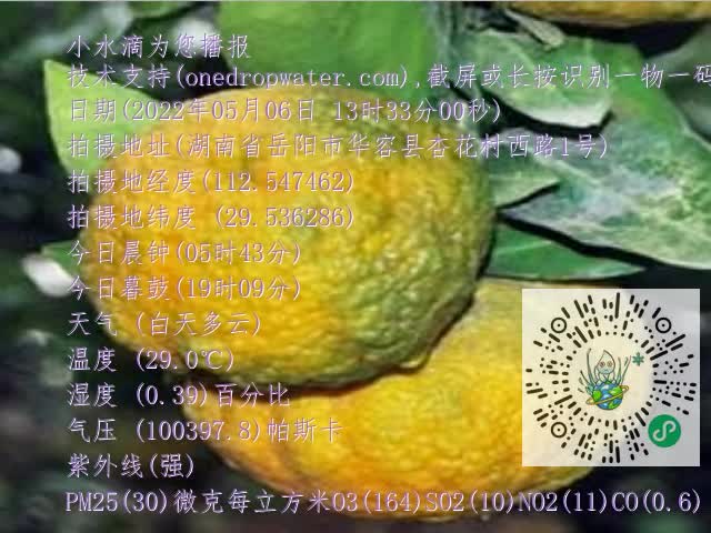 0.mp4