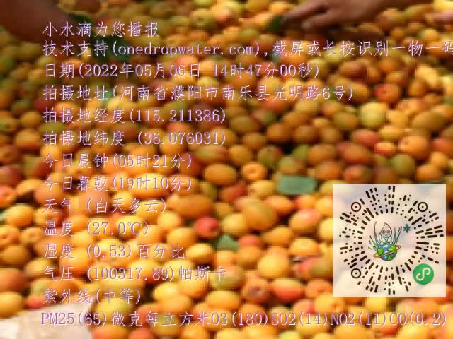0.mp4