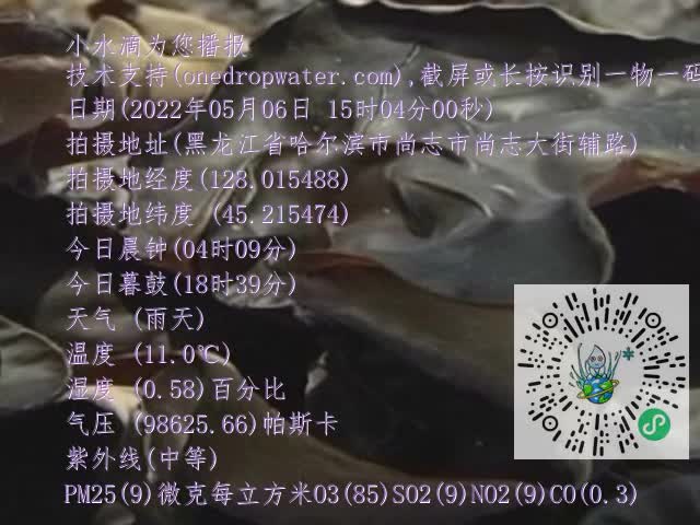 0.mp4