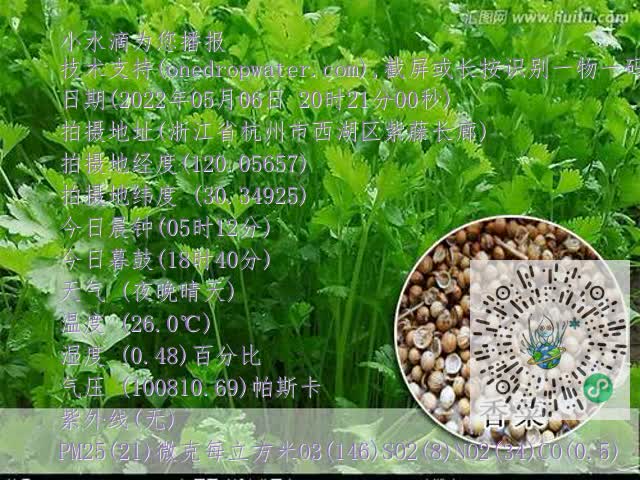 2a985a522c75a847263c26cdf1b8246d.mp4