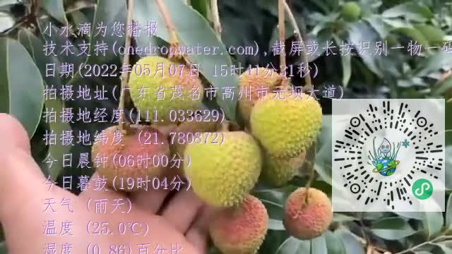 ln_kDaZgrDz2crnXrjX-T9139Oq8mp4