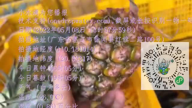 FqOImmCP0iwX9oUlhezaNgsIH_cmmp4