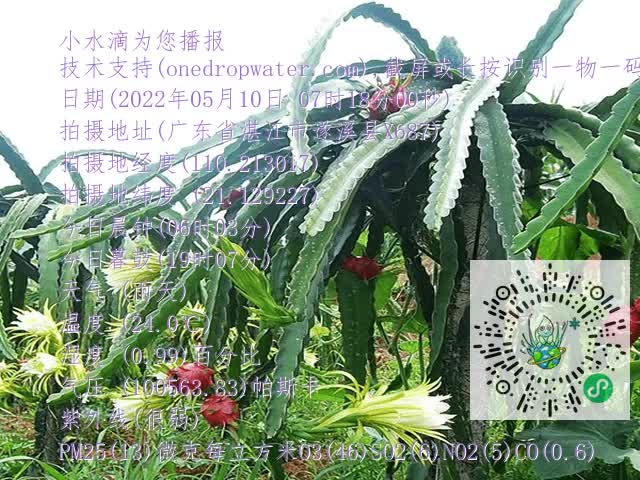 7e9a1e27ad1aa5fc3bd75c59ea50888e.mp4