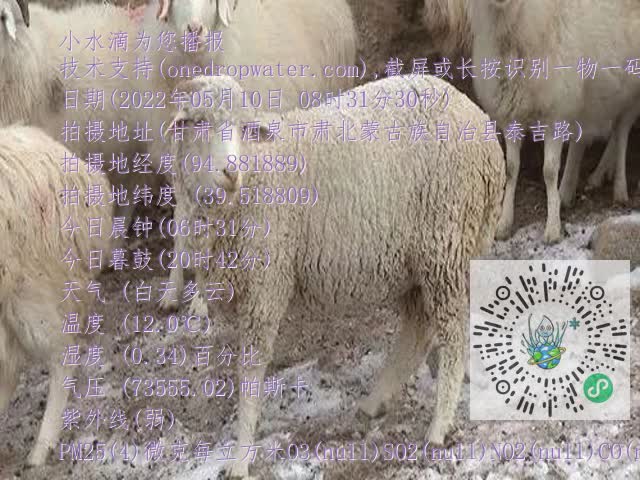 0.mp4