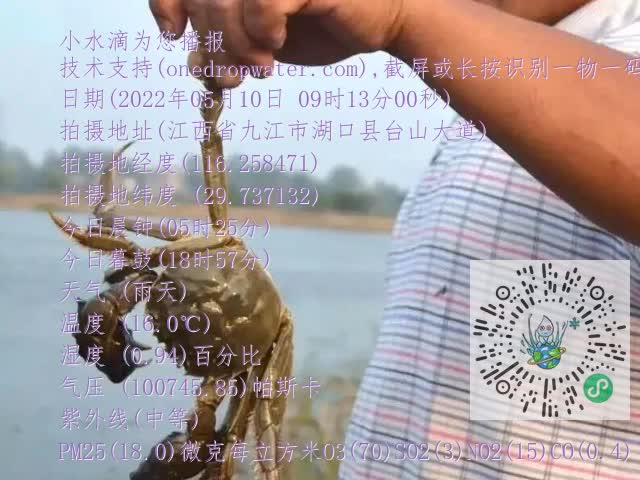 0.mp4