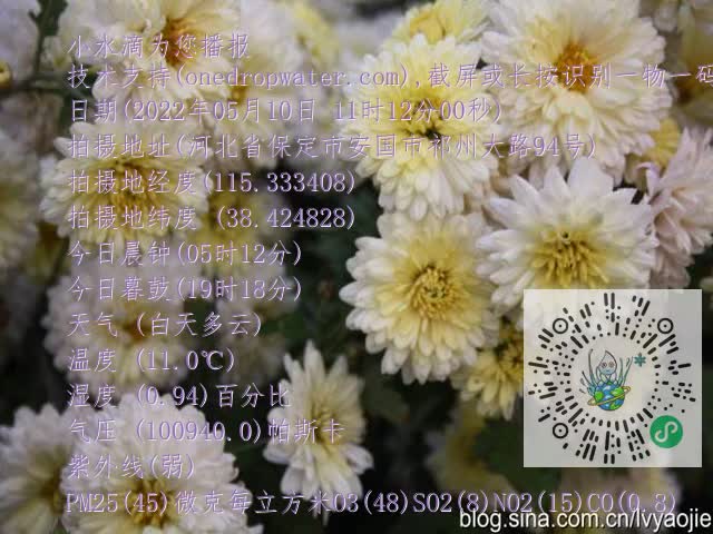 0.mp4