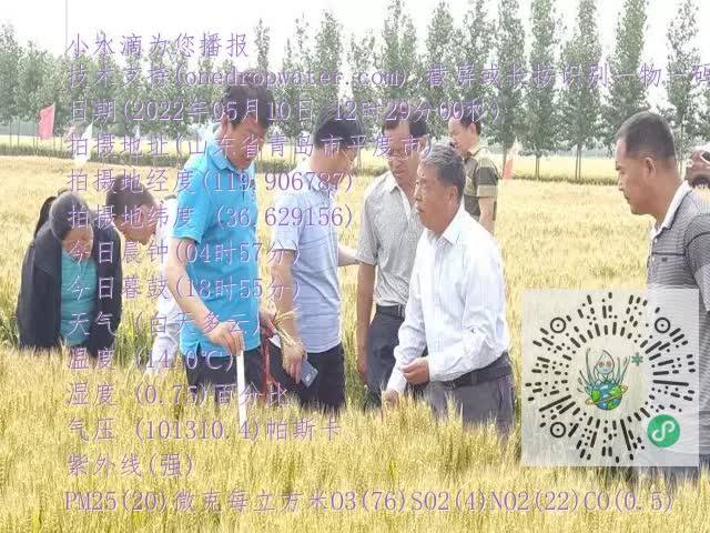 0.mp4