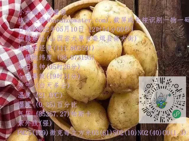 0.mp4