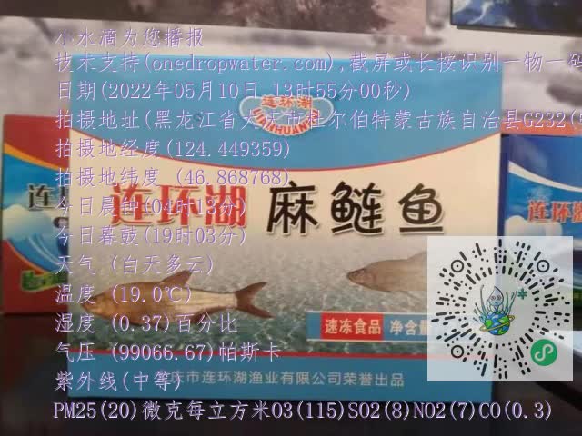 0.mp4