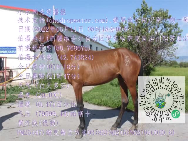 0.mp4