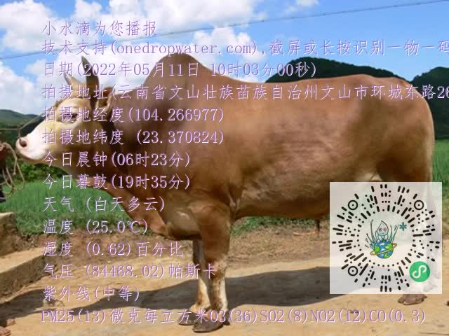 0.mp4