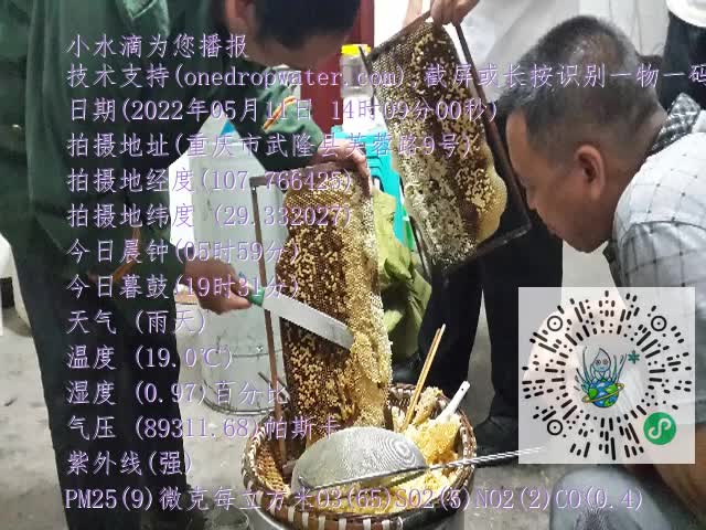 0.mp4