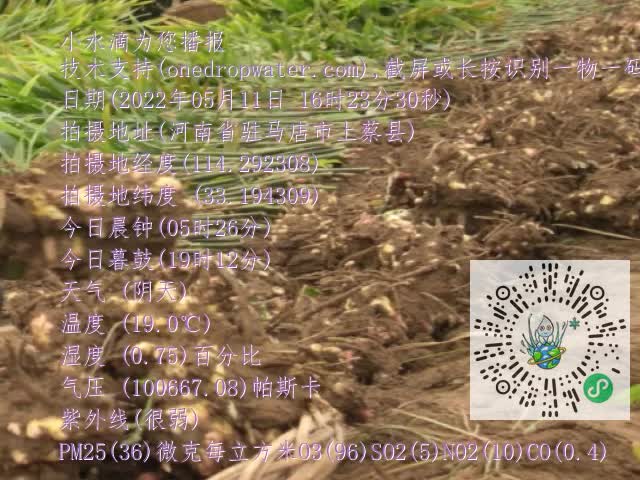 0.mp4