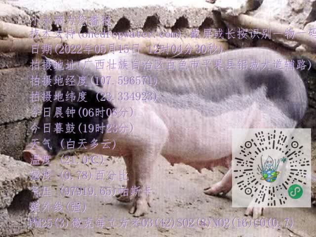 0.mp4