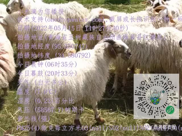 0.mp4