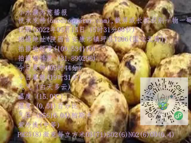 0.mp4