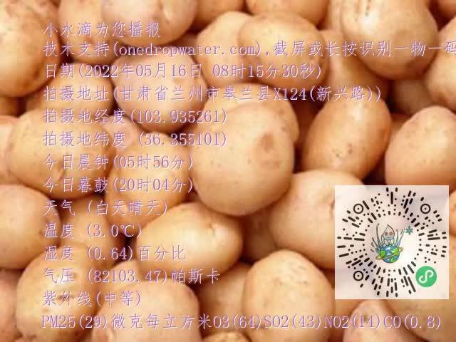 0.mp4
