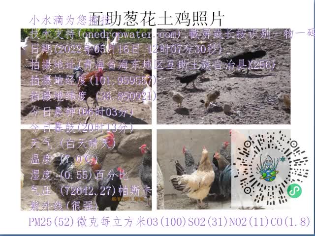 0.mp4