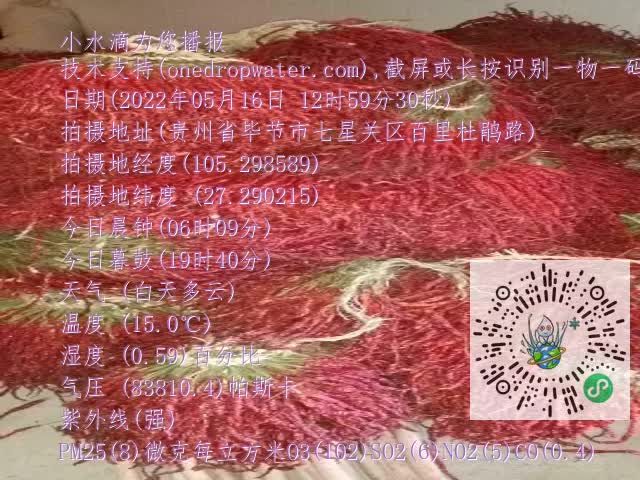 0.mp4