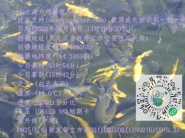 0.mp4